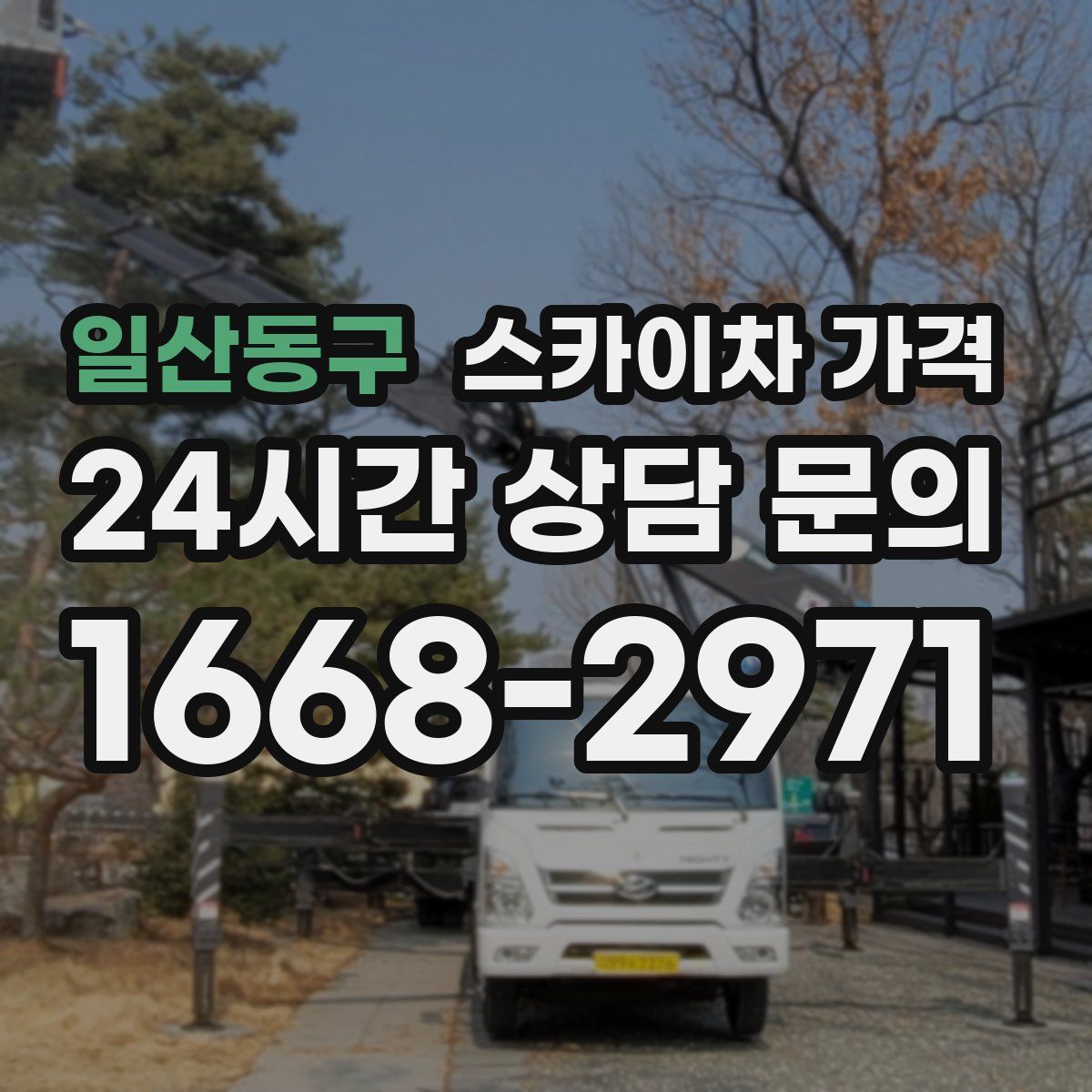 일산동구 스카이차 가격
