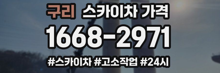 구리 스카이차 가격