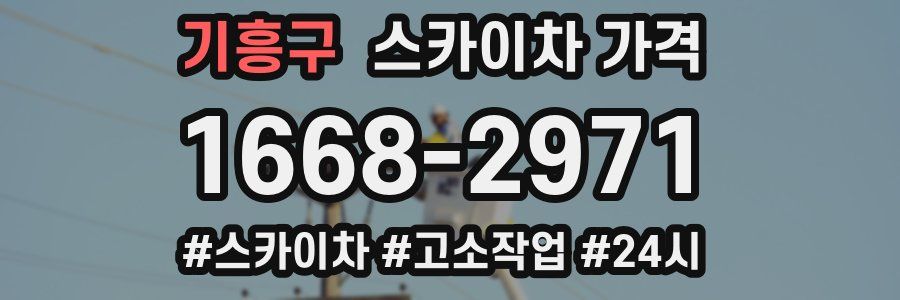 기흥구 스카이차 가격