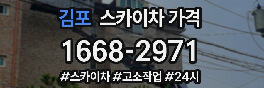 김포 스카이차 가격