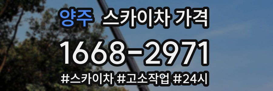 양주 스카이차 가격