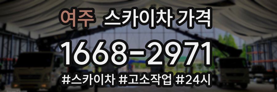 여주 스카이차 가격