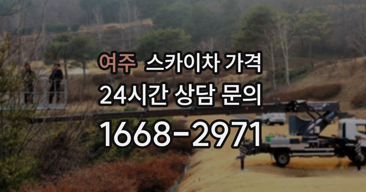 여주 스카이차 가격