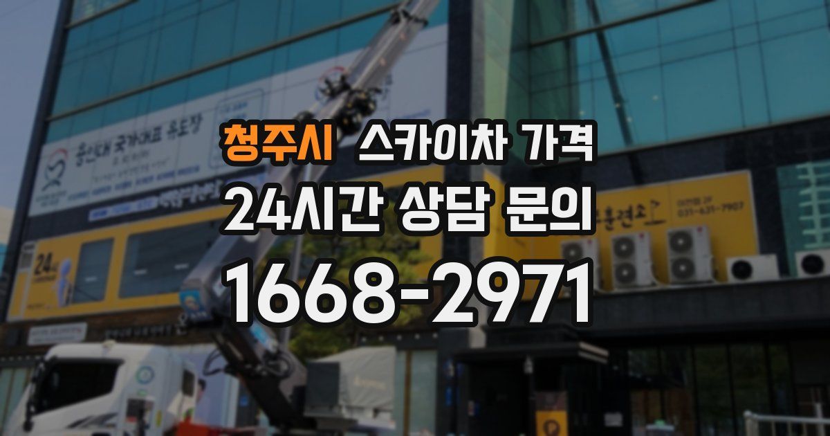 청주시 스카이차 가격