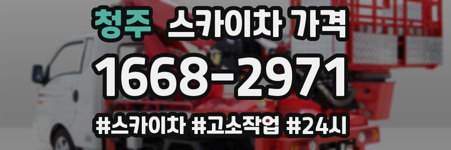 청주 스카이차 가격