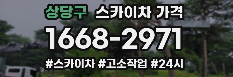 상당구 스카이차 가격