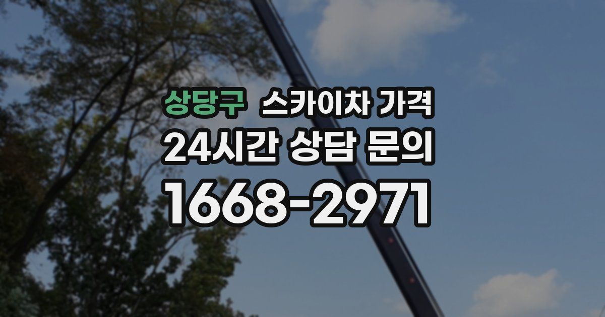 상당구 스카이차 가격