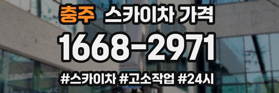 충주 스카이차 가격