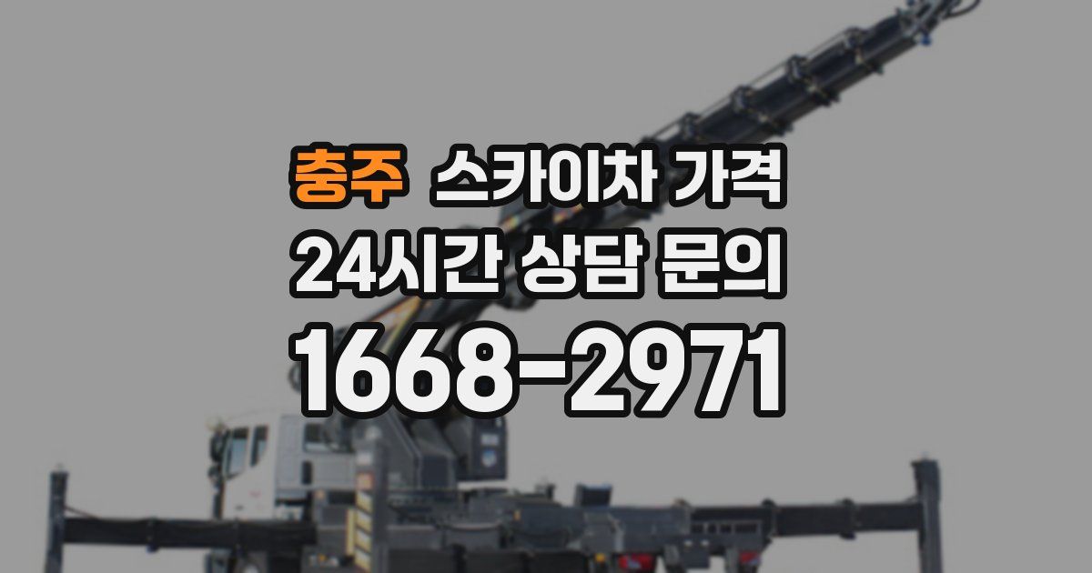 충주 스카이차 가격