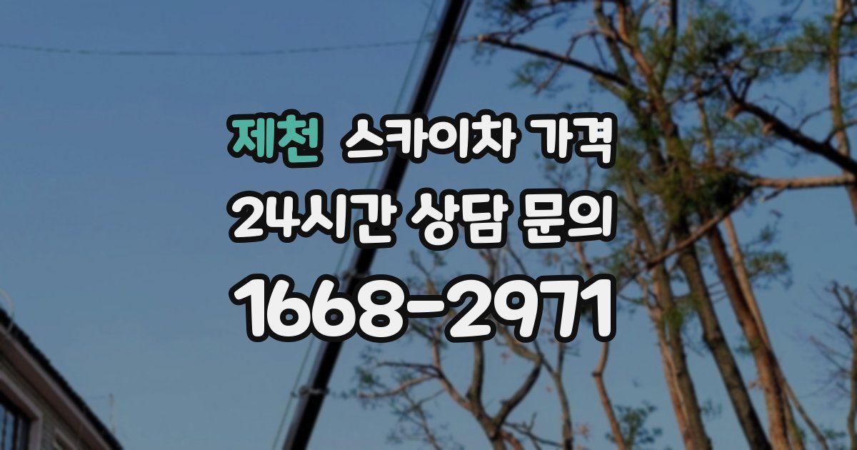 제천 스카이차 가격