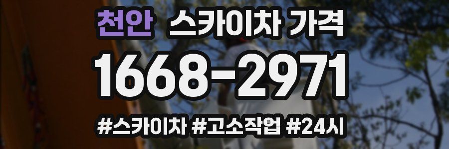 천안 스카이차 가격