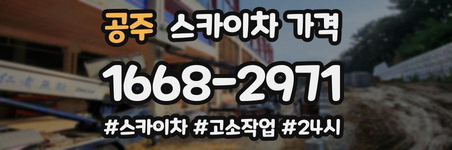 공주 스카이차 가격