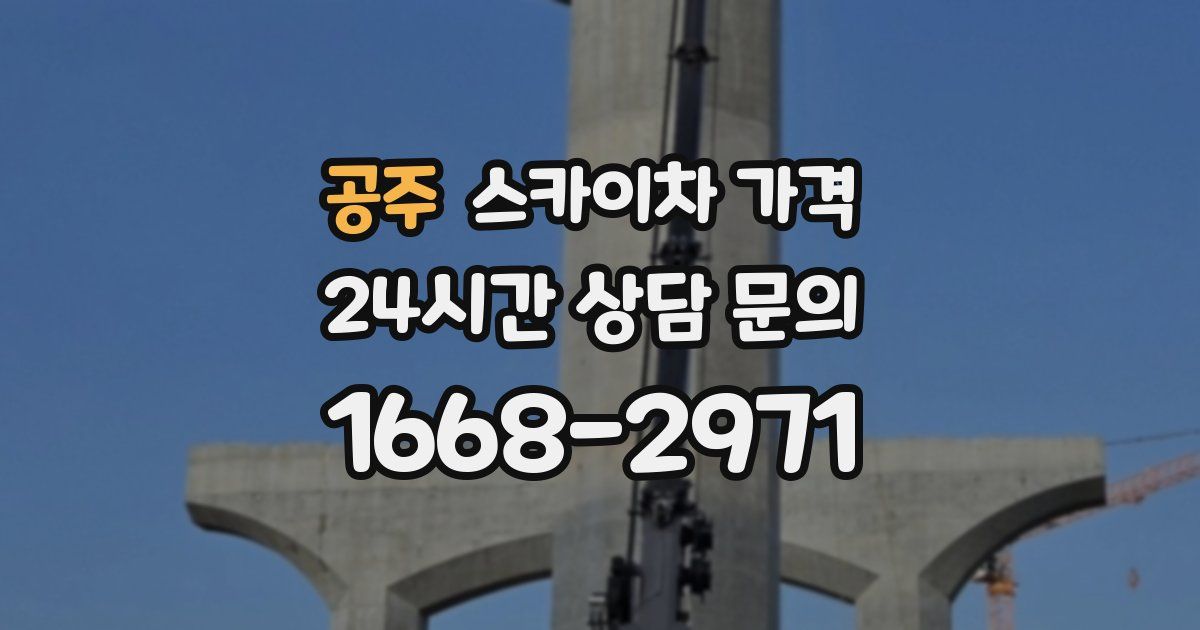 공주 스카이차 가격