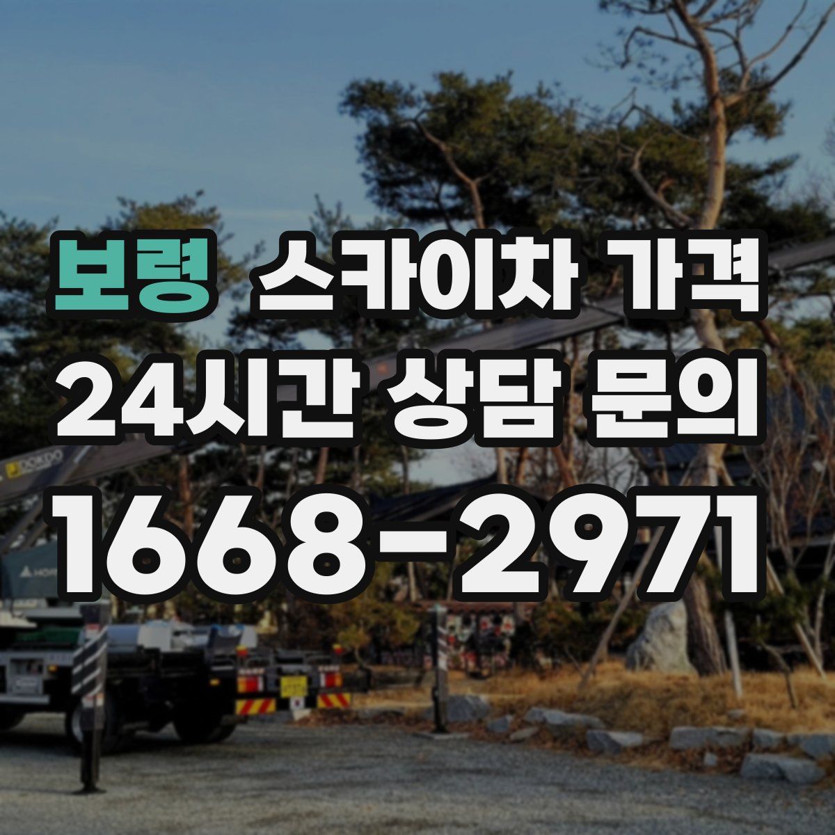 보령 스카이차 가격
