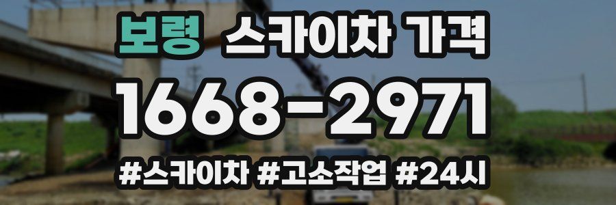 보령 스카이차 가격