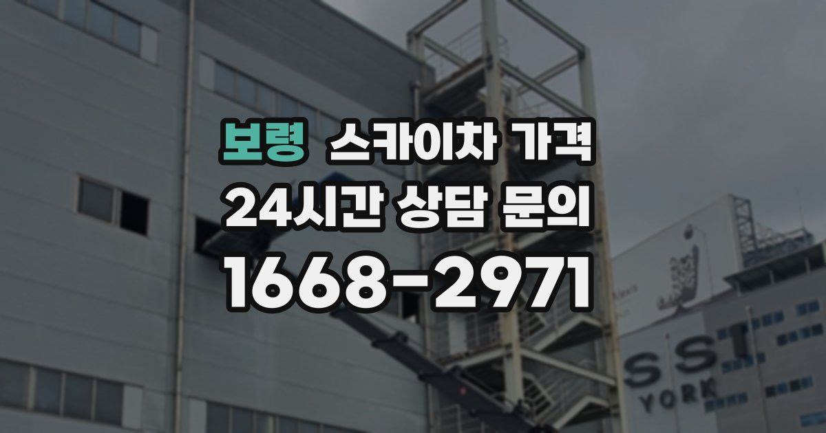 보령 스카이차 가격