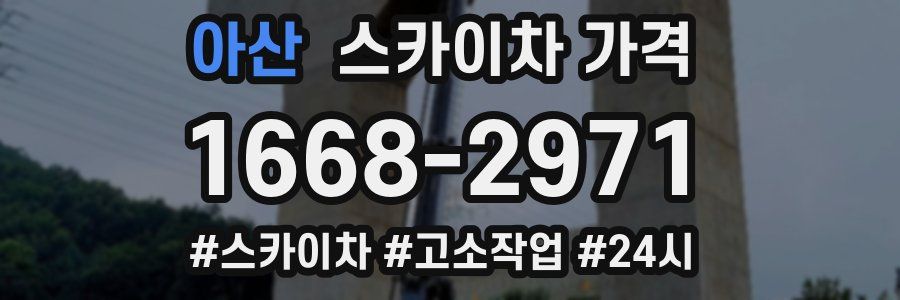 아산 스카이차 가격