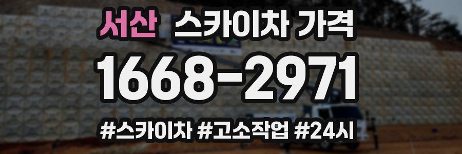 서산 스카이차 가격