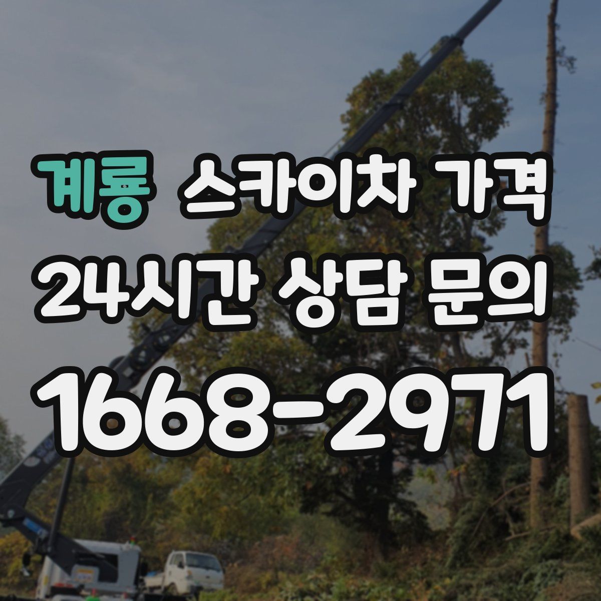 계룡 스카이차 가격