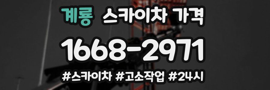 계룡 스카이차 가격