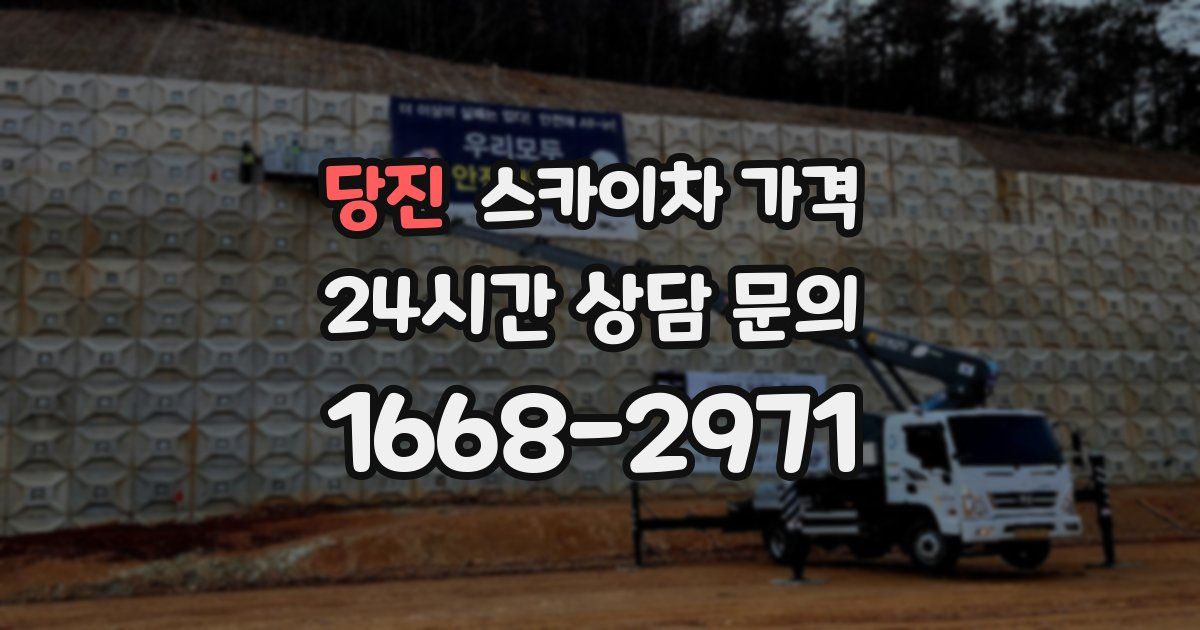 당진 스카이차 가격