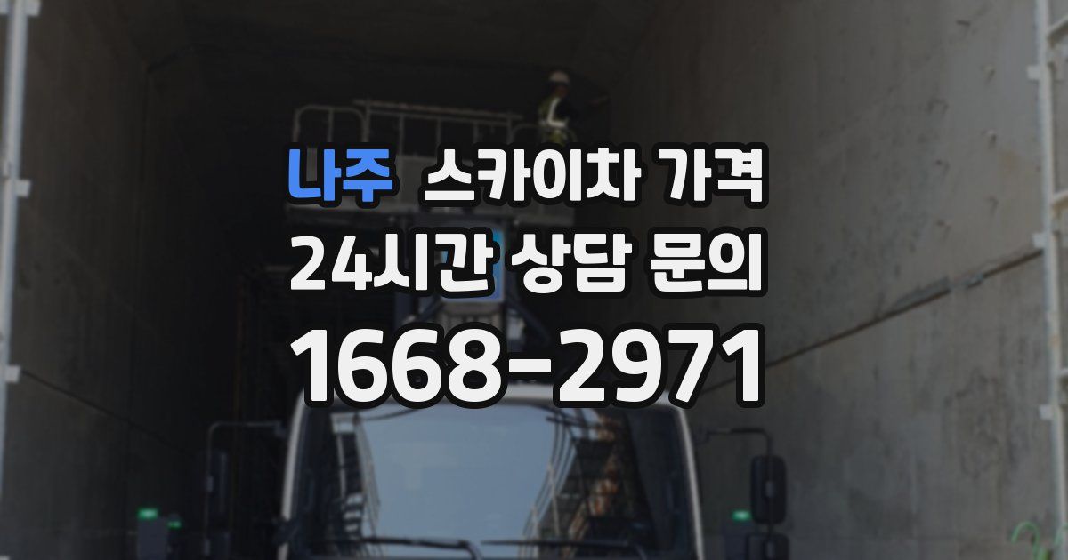 나주 스카이차 가격