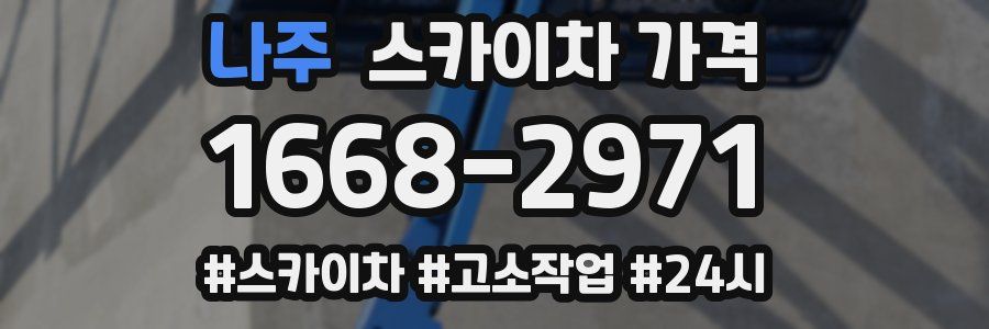 나주 스카이차 가격