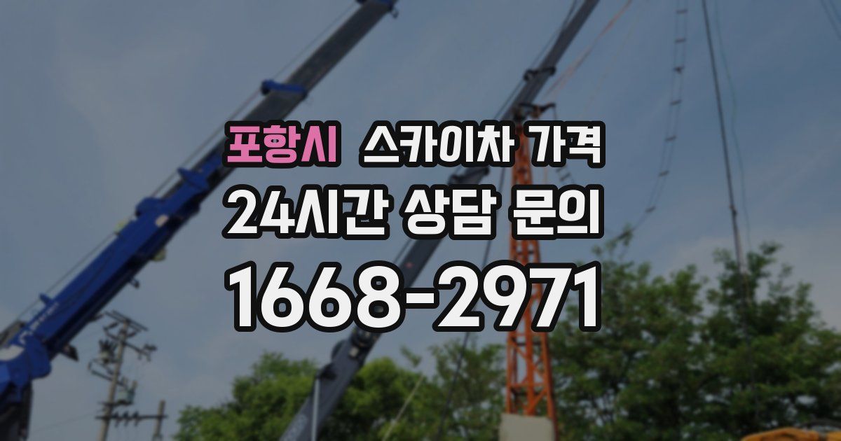포항시 스카이차 가격