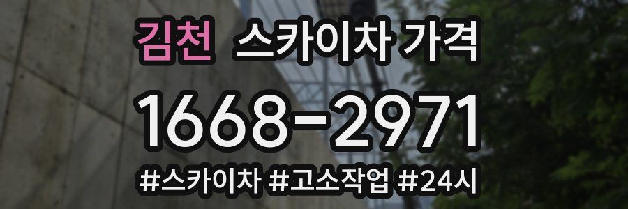 김천 스카이차 가격