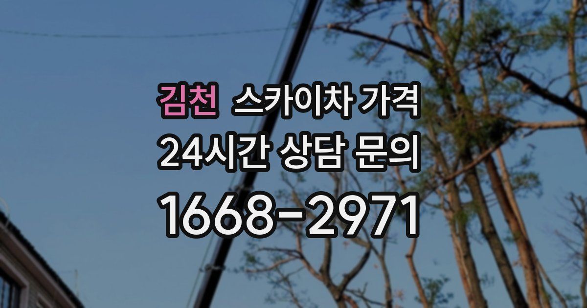 김천 스카이차 가격