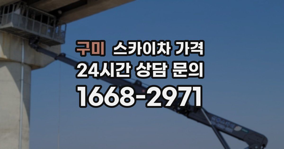 구미 스카이차 가격