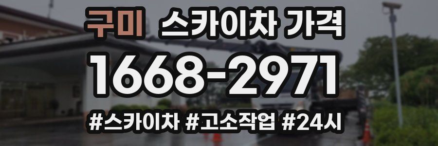 구미 스카이차 가격