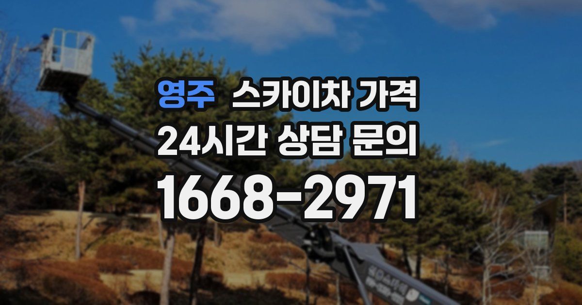 영주 스카이차 가격