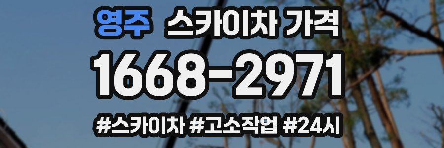 영주 스카이차 가격