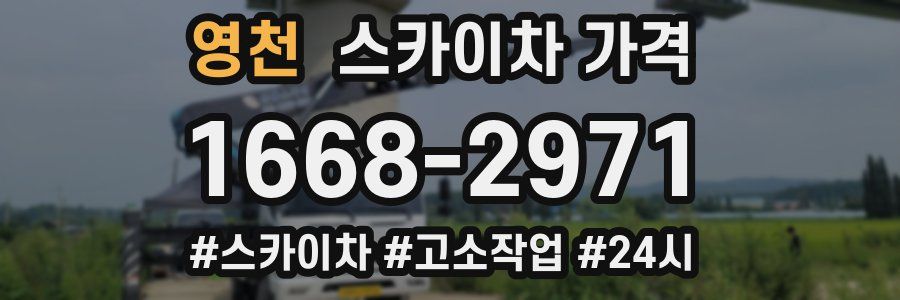 영천 스카이차 가격