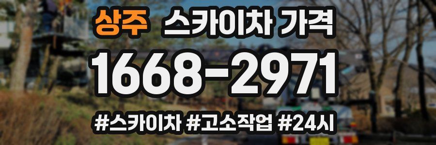 상주 스카이차 가격