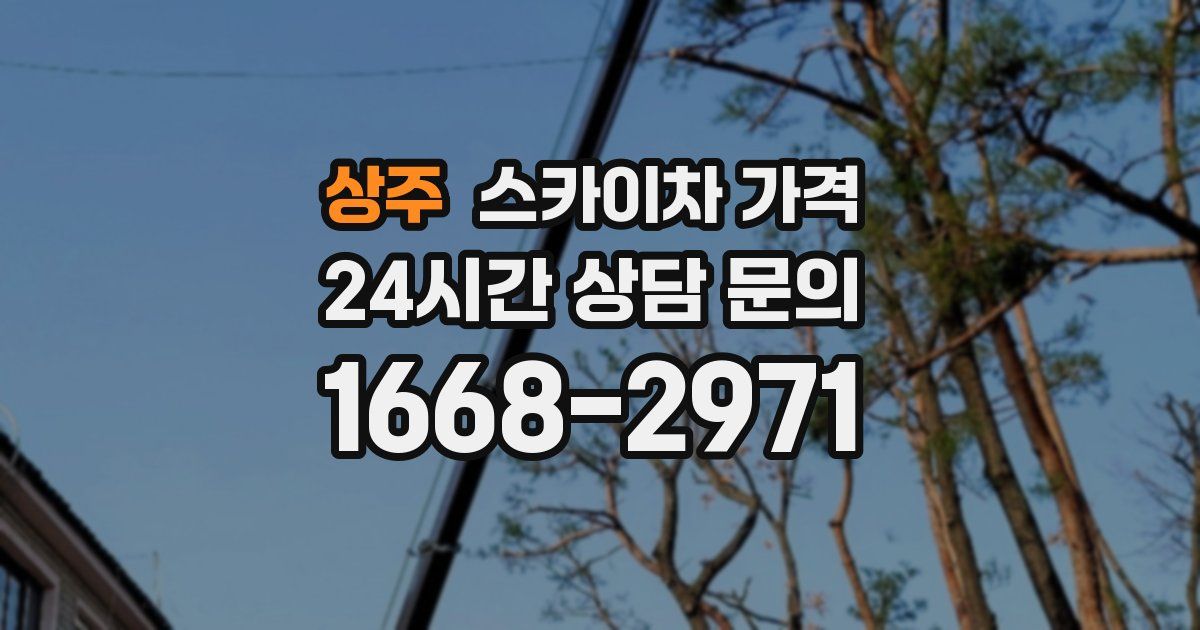 상주 스카이차 가격