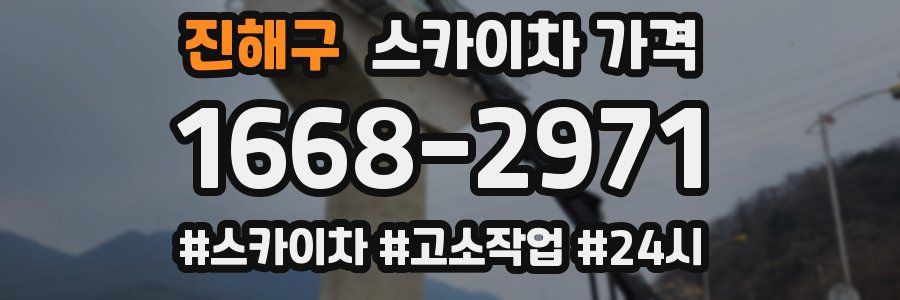 진해구 스카이차 가격