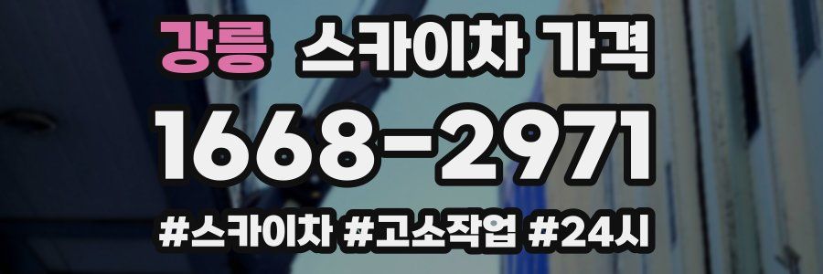 강릉 스카이차 가격