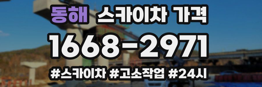 동해 스카이차 가격