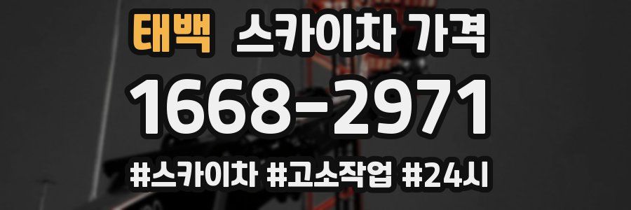 태백 스카이차 가격