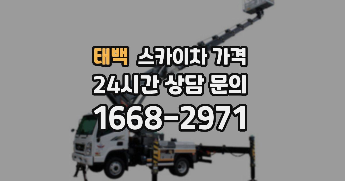 태백 스카이차 가격