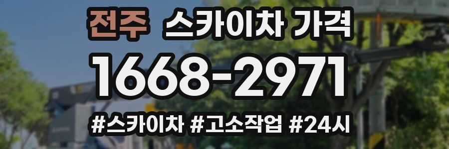 전주 스카이차 가격