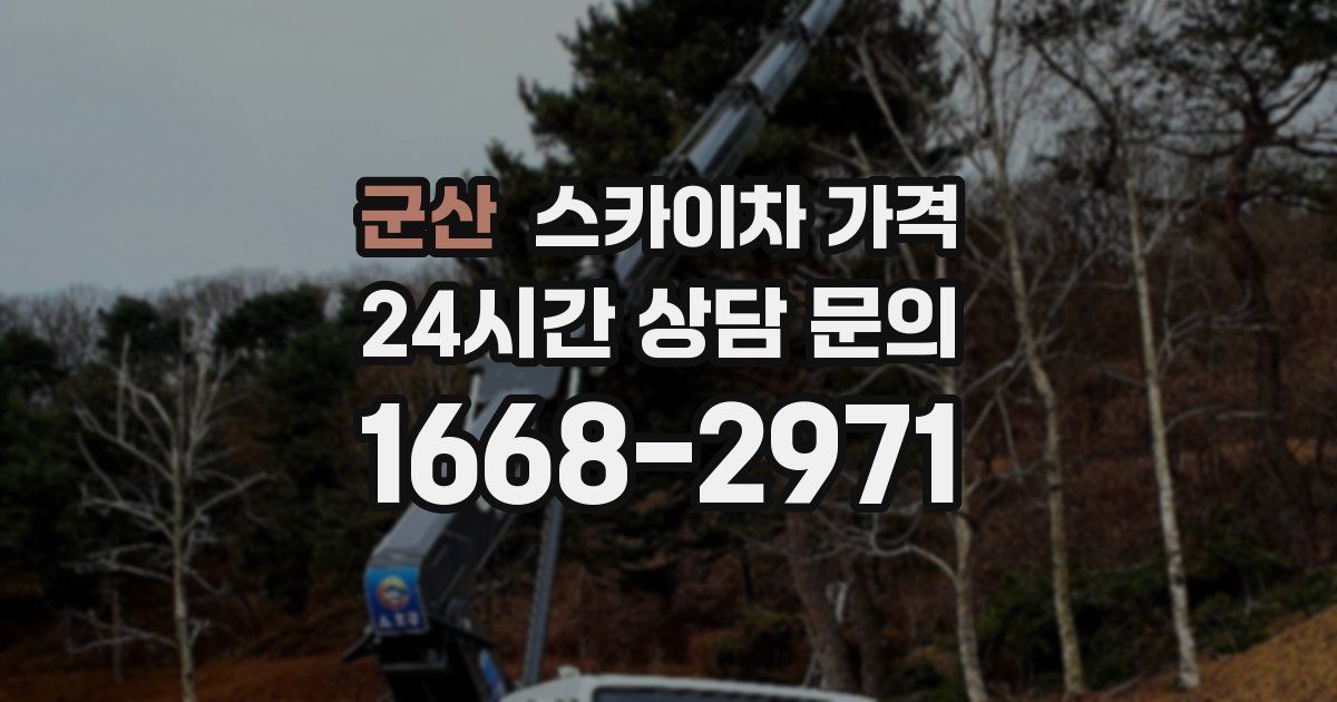 군산 스카이차 가격