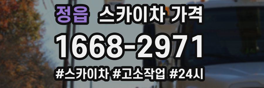 정읍 스카이차 가격