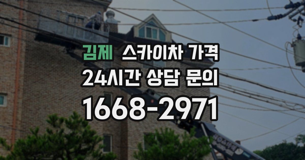 김제 스카이차 가격