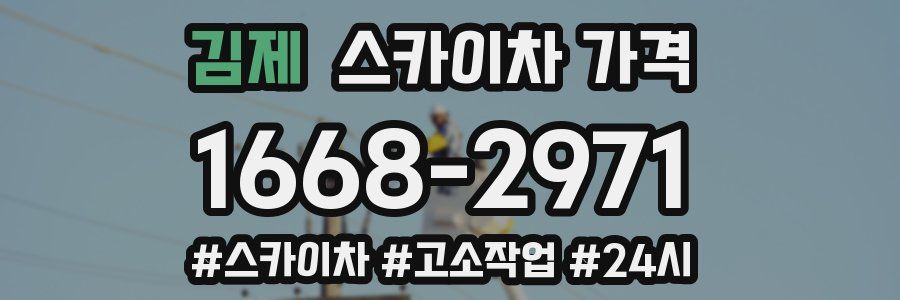 김제 스카이차 가격