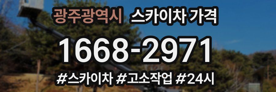 광주광역시 스카이차 가격