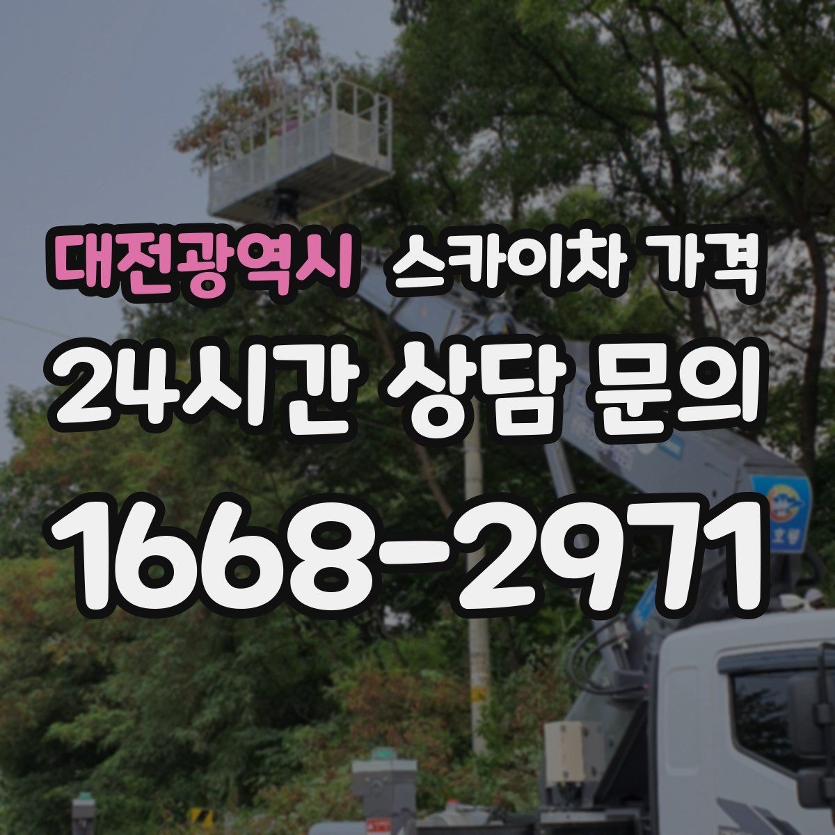 대전광역시 스카이차 가격 나무 가지치기 작업은 어떤 기준으로 볼까