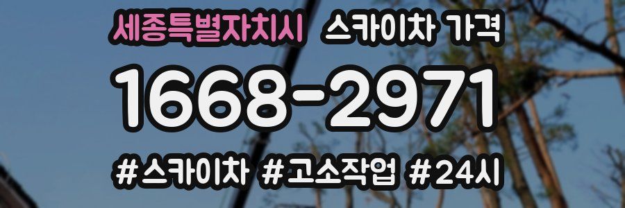 세종특별자치시 스카이차 가격